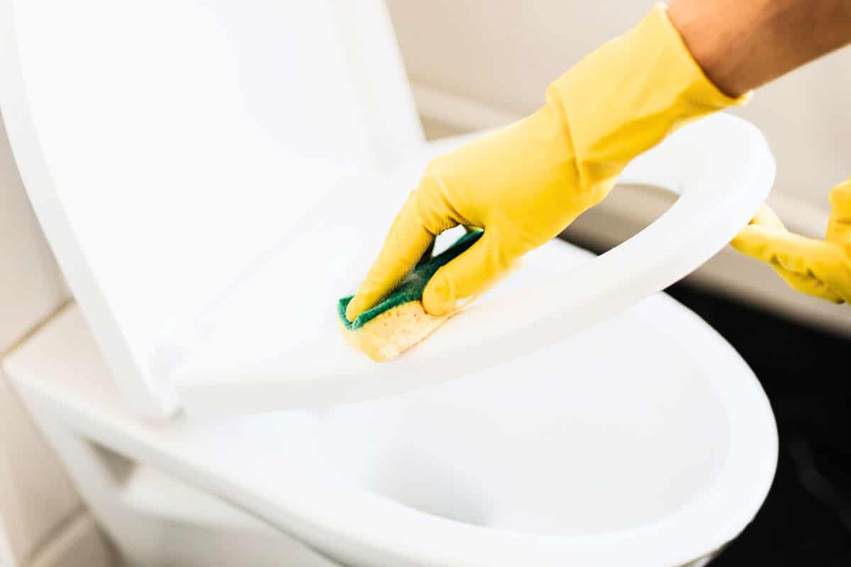 Enlevez le calcaire des toilettes